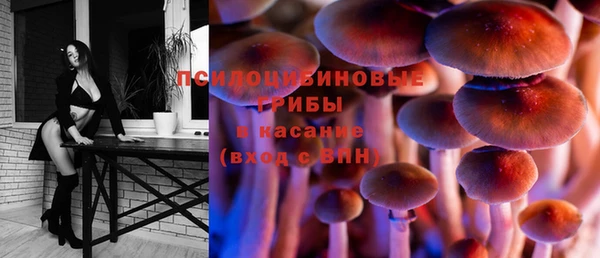 молекула духа Армянск